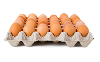 雞蛋怎麼存放及可保存多久？日本專家釋疑