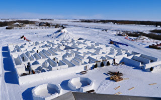 加拿大曼尼托巴省再建世界最大雪迷宫