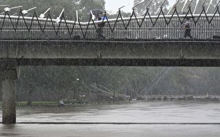 悉尼雨量已超2米 今年或是史上最潮湿一年