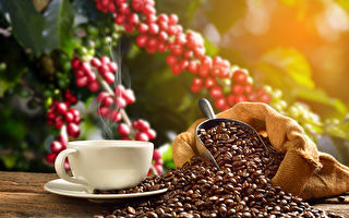 热浪导致全球咖啡价格上涨20%