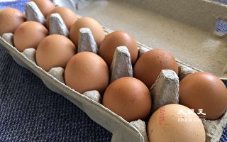 禽流感蔓延 Woolworths开始限购鸡蛋