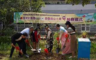 台韓小學SDGs交流 共同為世界植樹